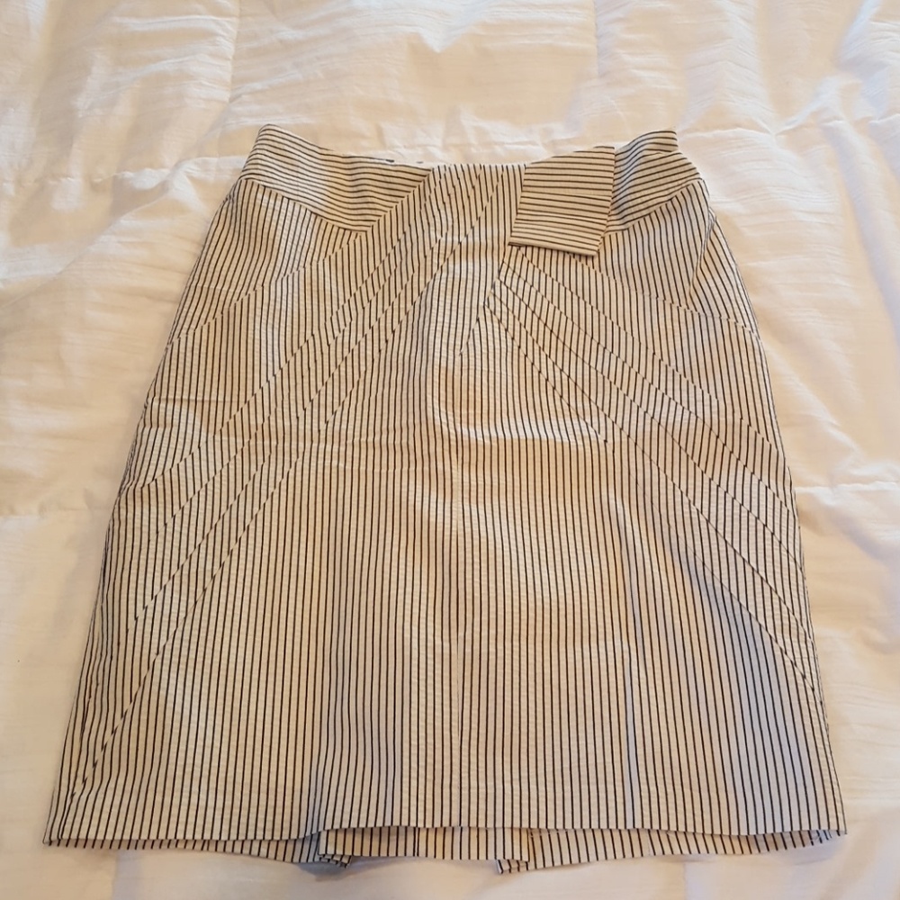 Anthropologie Eva Franco skirt sz 12